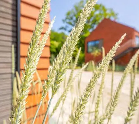 De Ole School Ferienapartments Large-apartment 25 , Huus Blomen Апартаменты